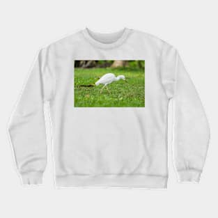 Cattle Egret 2 Crewneck Sweatshirt